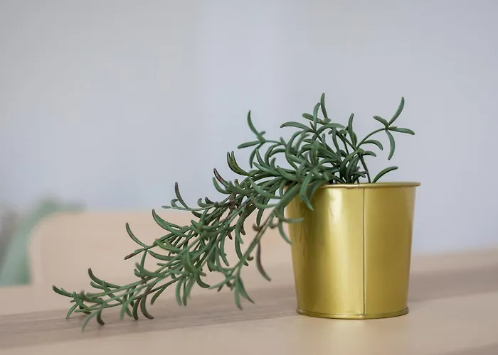 Barca アパート *